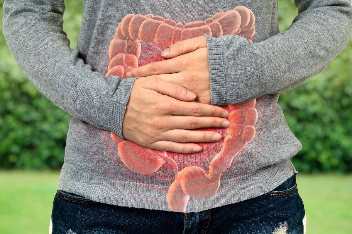 4 Fibras: La Sinergia Perfecta para tu Microbiota